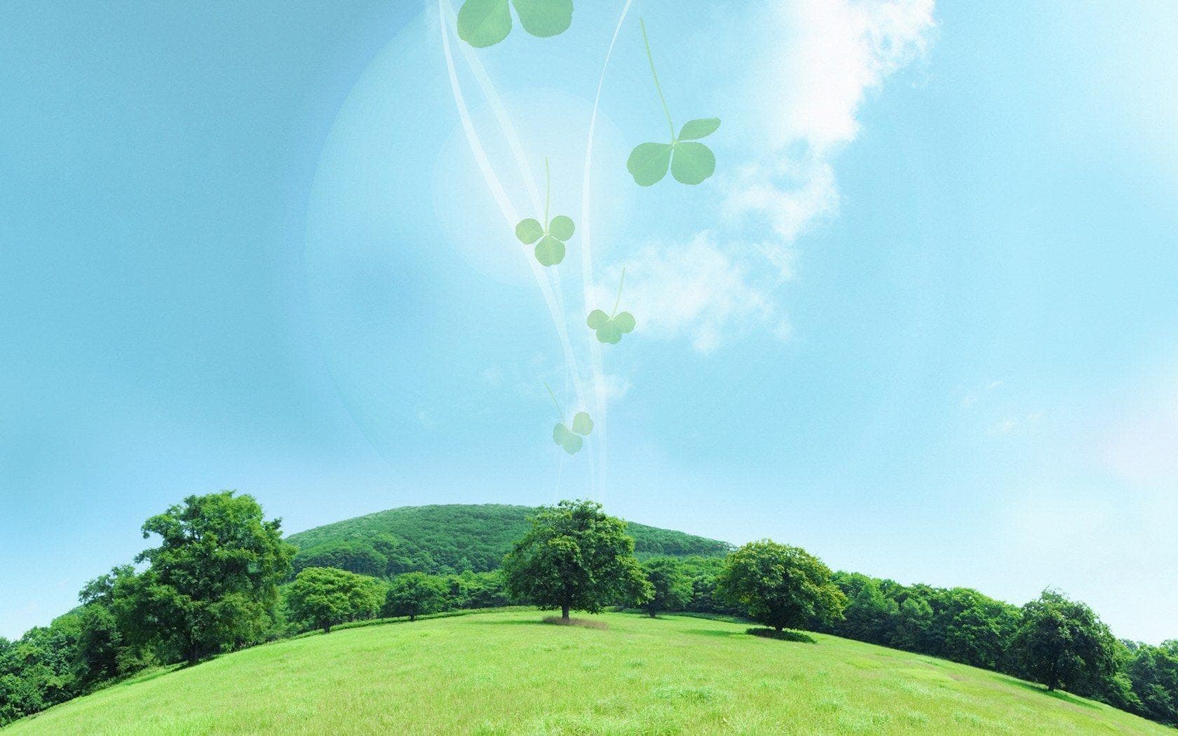 Eco-friendly non woven bags