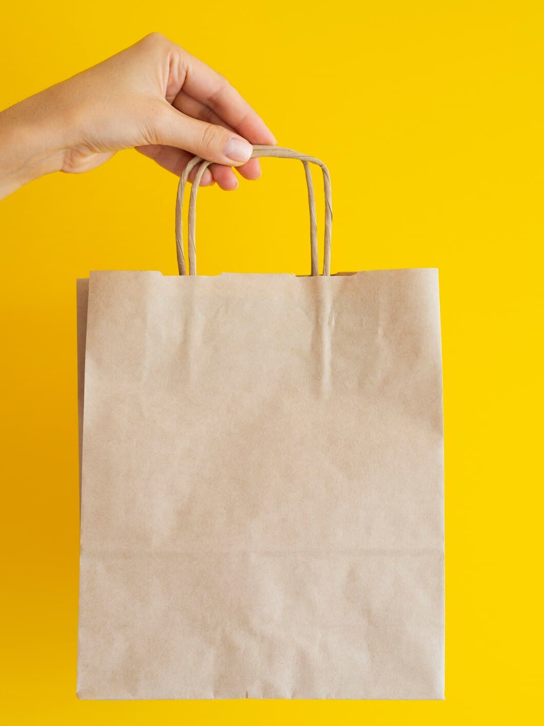 Reusable Grocery Non-Woven Bag